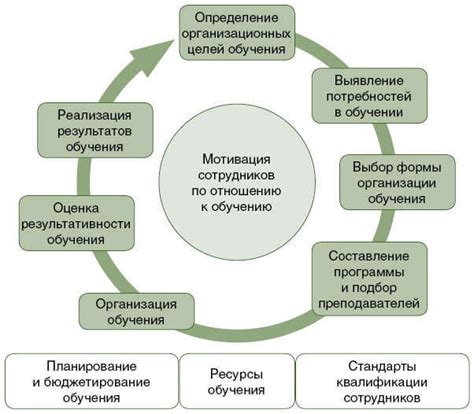 Организация обучения и развития