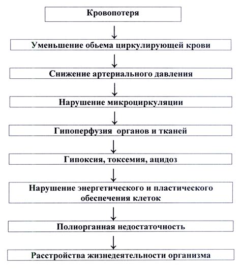 Организм после кровопотери: что восполнять?