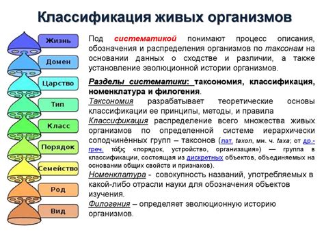 Организм - понятие, значение и классификация