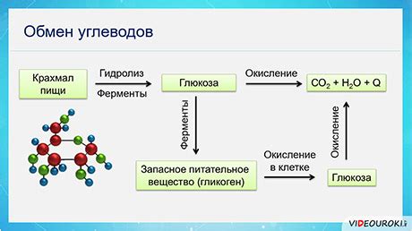 Органические вещества, образующиеся при распаде сфагнума