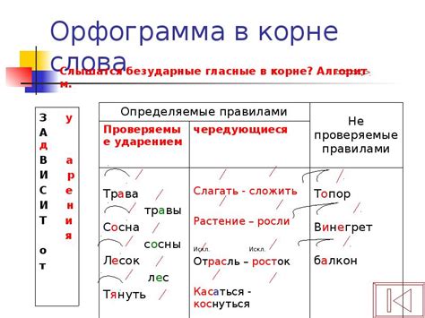 Орфограмма номер 7 в 5 классе: основные правила