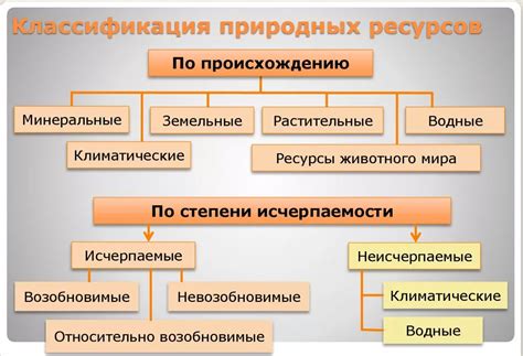 Основные виды переработки растительных ресурсов