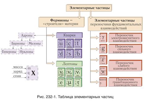 Основные виды частиц