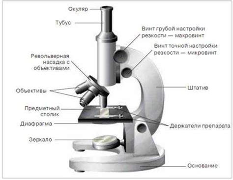 Основные компоненты микроскопа