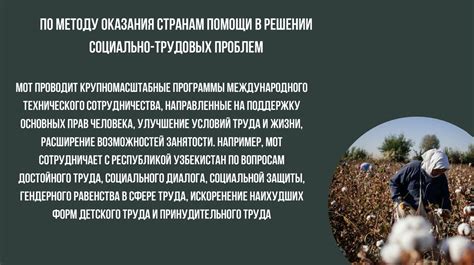 Основные направления Международной организации труда