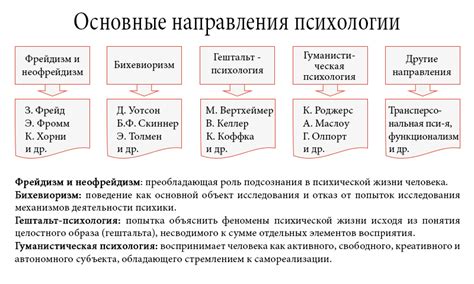 Основные направления в психологии: от классических до современных