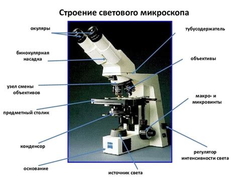 Основные недостатки электронного микроскопа