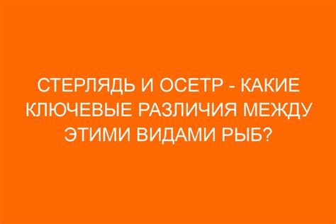 Основные отличия между икрой стерляди и икрой осетра