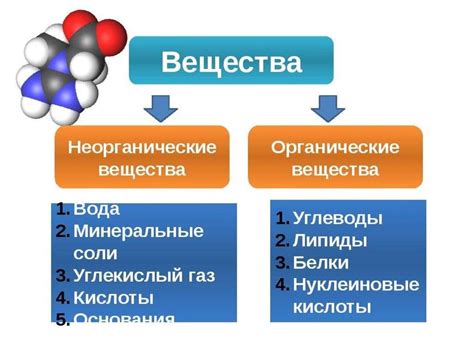 Основные отличия между органическими и неорганическими веществами