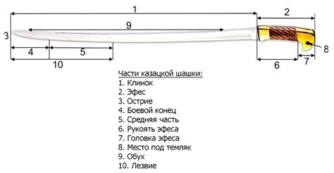 Основные отличия шашки от сабли