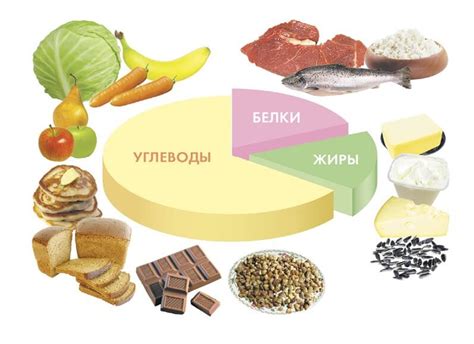 Основные питательные вещества