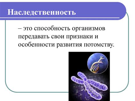 Основные понятия генетики