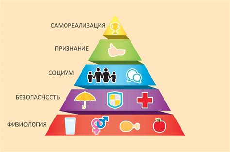 Основные потребности уток