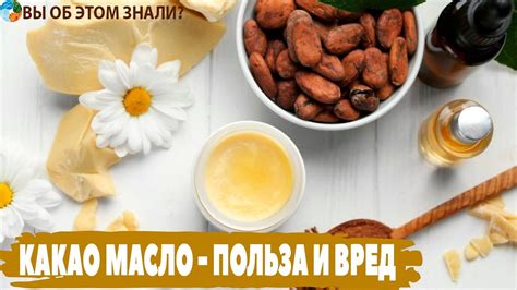 Основные преимущества заменителя масла лауринового типа