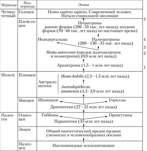 Основные признаки связи с человеком