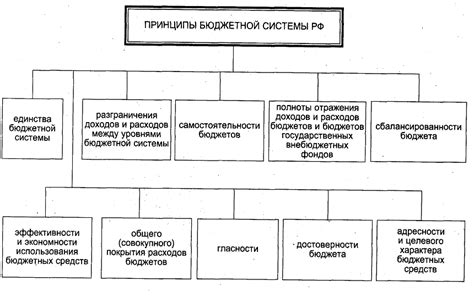 Основные принципы бюджетного учреждения