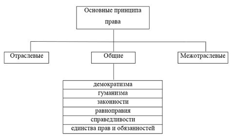 Основные принципы его работы