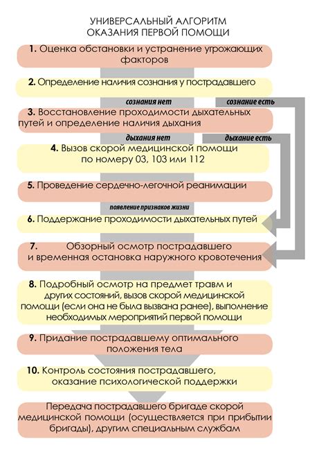 Основные принципы здравия