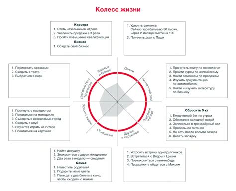 Основные принципы метода Майера