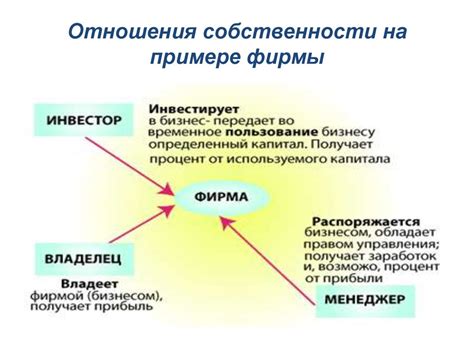 Основные принципы организации общества