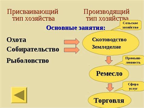 Основные принципы производящего хозяйства