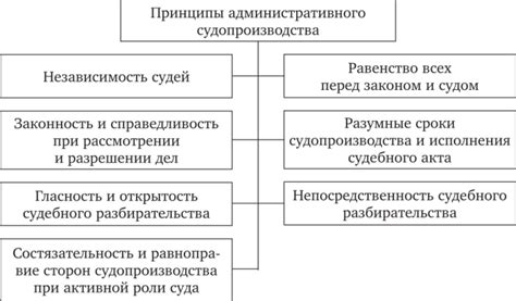 Основные принципы публичных полномочий в КАС РФ