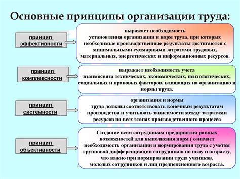 Основные принципы современной организации труда