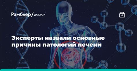 Основные причины возникновения патологий в медицине