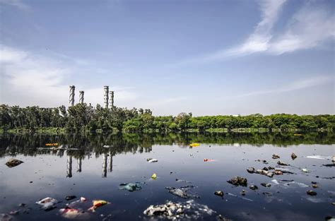 Основные причины загрязнения воды