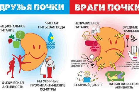 Основные причины отказа почек