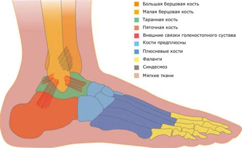 Основные причины растяжения ноги