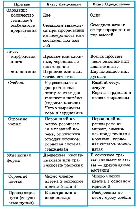 Основные различия между КНП 123 и 124