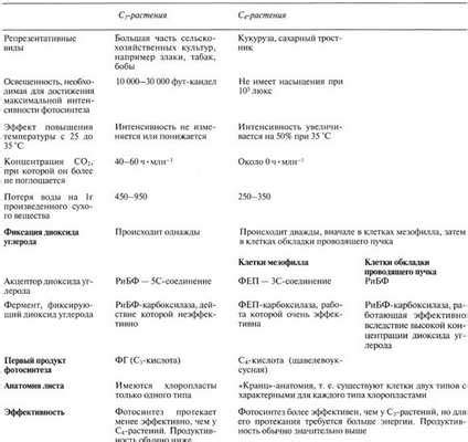 Основные различия между автотрофным и гетеротрофным питанием