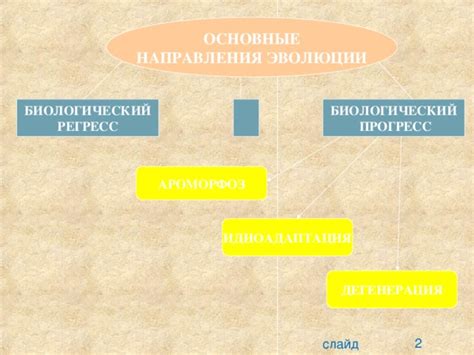 Основные различия между биологическим прогрессом и биологическим регрессом