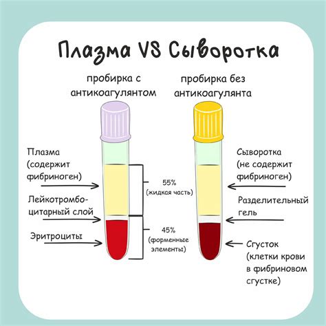 Основные различия между плазмой и кровью при сдаче