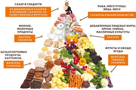 Основные рекомендации и продукты