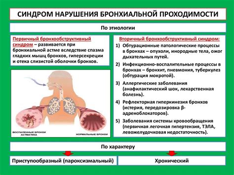 Основные симптомы нарушения бронхиальной проходимости