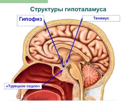 Основные симптомы пустого турецкого седла