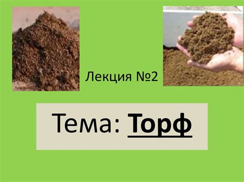 Основные составляющие торфа