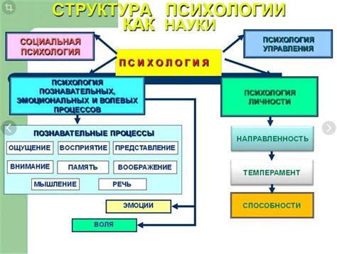 Основные темы и задачи уроков