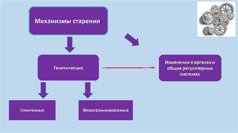 Основные факторы и механизмы