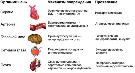 Основные факторы и проявления артериальной гипертензии