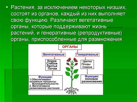 Основные функции Сберлогистик