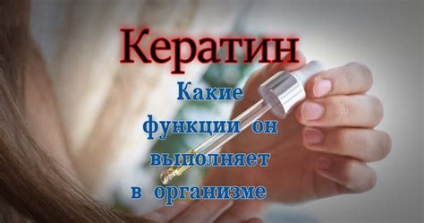 Основные функции кератина