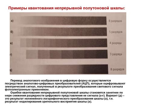 Основные характеристики тонового диапазона