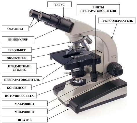 Основные элементы микроскопа