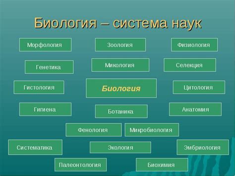 Основы биологии в 5 классе: изучаемые темы и примеры