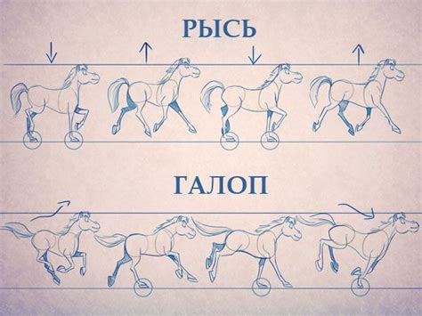 Основы мультипликации: искусство оживить рисунки