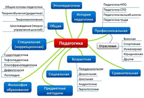 Основы педагогики и ее методы