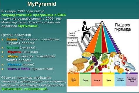 Основы питания человека